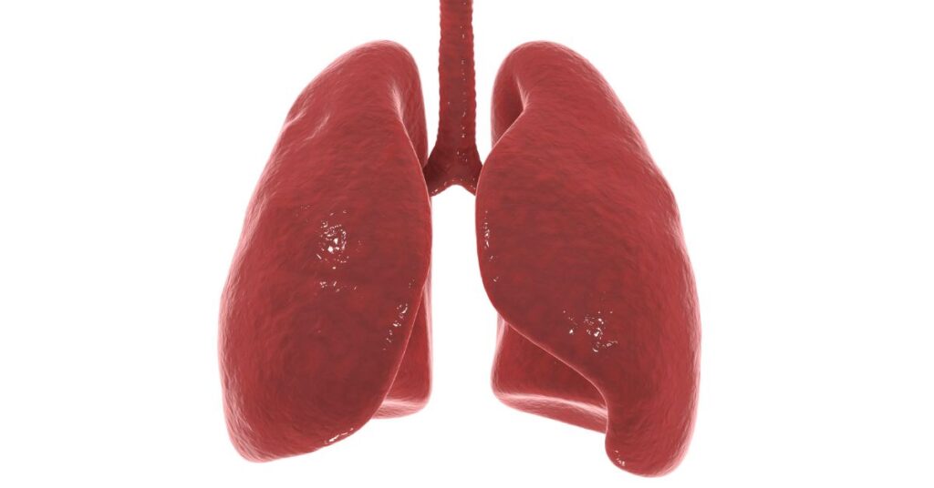 Water in Lungs - Causes, Symptoms, Treatment and Prevention