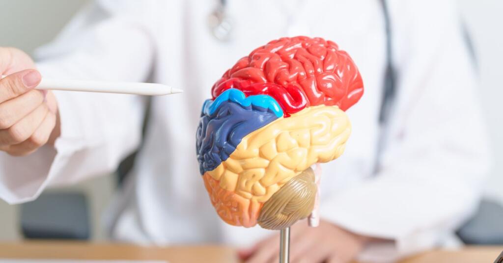 Brain on table with doctor.